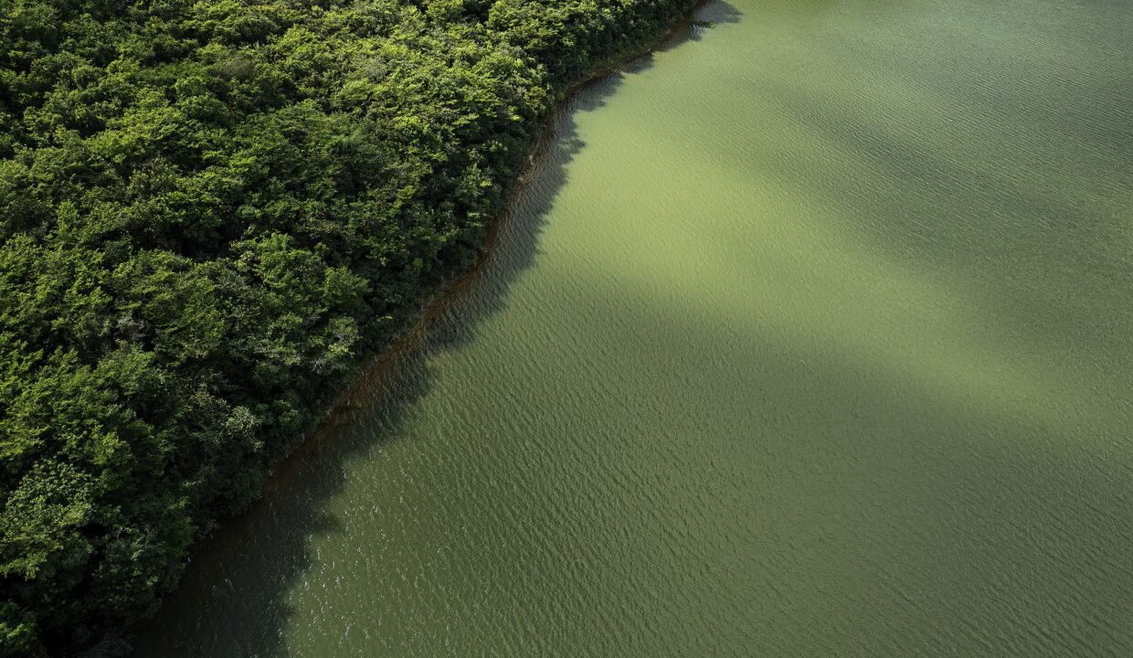 Lotes no EcoVillage (8)